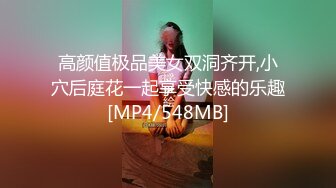 高颜值极品美女双洞齐开,小穴后庭花一起享受快感的乐趣[MP4/548MB]