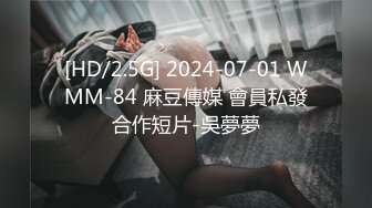 [HD/2.5G] 2024-07-01 WMM-84 麻豆傳媒 會員私發合作短片-吳夢夢