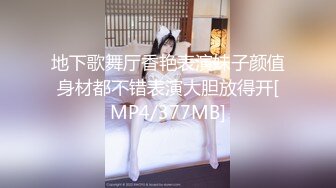 地下歌舞厅香艳表演妹子颜值身材都不错表演大胆放得开[MP4/377MB]