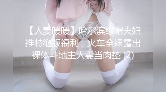 【人妻暖暖】哈尔滨绿帽夫妇推特绝版福利，火车全裸露出裸体斗地主人妻当肉垫 (2)