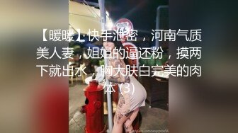 【暖暖】快手泄密，河南气质美人妻，姐姐的逼还粉，摸两下就出水，胸大肤白完美的肉体 (3)