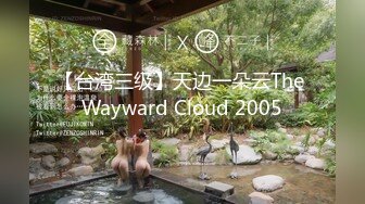 【台湾三级】天边一朵云The Wayward Cloud 2005