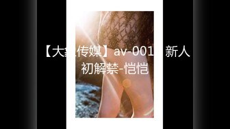 【大象传媒】av-0010 新人初解禁-恺恺