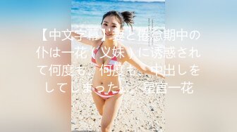 【中文字幕】妻と倦怠期中の仆は一花（义妹）に诱惑されて何度も、何度も、中出しをしてしまった…。星宫一花