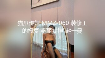 猫爪传媒 MMZ-060 装修工的报复 艳丽女神-赵一曼