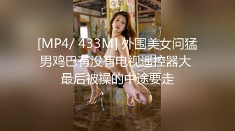 价值300RMB丙丁灵儿 《金瓶梅》不为人知的秘密