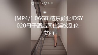 [MP4/1.06GB]精东影业JDSY020母子酒店同住淫欲乱伦-艾丽