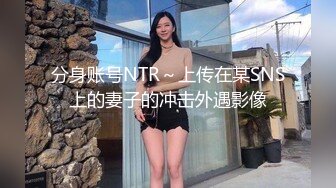 分身账号NTR～上传在某SNS上的妻子的冲击外遇影像