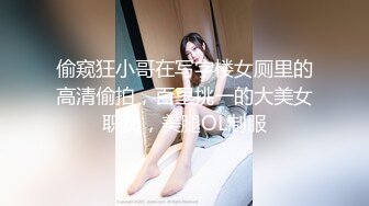 偷窥狂小哥在写字楼女厕里的高清偷拍，百里挑一的大美女职员，美腿OL制服