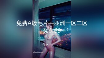 免费A级毛片—亚洲一区二区久久69