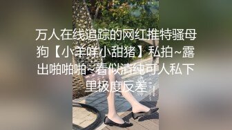 万人在线追踪的网红推特骚母狗【小羊咩小甜猪】私拍~露出啪啪啪~看似清纯可人私下里极度反差