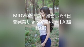 MIDV-897 妻が帰省した3日間発育しきって喰い頃【AI破解版】