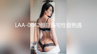 LAA-0042假日豪宅性爱艳遇