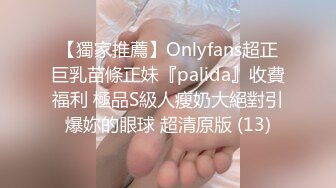 【獨家推薦】Onlyfans超正巨乳苗條正妹『palida』收費福利 極品S級人瘦奶大絕對引爆妳的眼球 超清原版 (13)