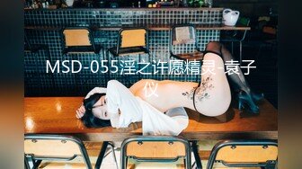 MSD-055淫之许愿精灵-袁子仪