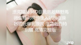 漂亮極品36D巨乳無敵騷野馬微信福利視頻後入站炮虐操 各式玩爆乳浪穴 淫語對白特別騷 高清完整版