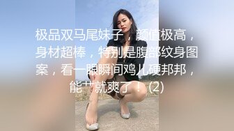 极品双马尾妹子，颜值极高，身材超棒，特别是腹部纹身图案，看一眼瞬间鸡儿硬邦邦，能艹就爽了！ (2)