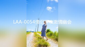 LAA-0054情侣深夜激情幽会