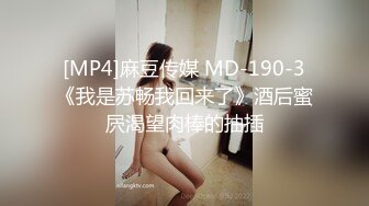 [MP4]麻豆传媒 MD-190-3《我是苏畅我回来了》酒后蜜屄渴望肉棒的抽插