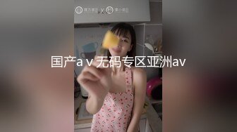 国产aⅴ无码专区亚洲av