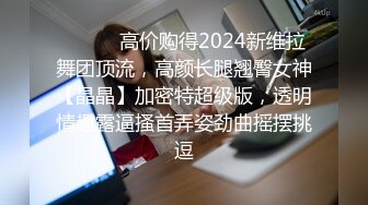 ⚫️⚫️高价购得2024新维拉舞团顶流，高颜长腿翘臀女神【晶晶】加密特超级版，透明情趣露逼搔首弄姿劲曲摇摆挑逗