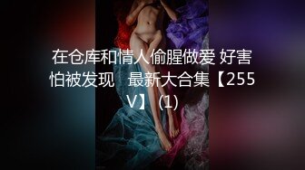 在仓库和情人偷腥做爱 好害怕被发现   最新大合集【255V】 (1)