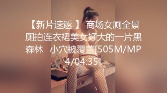 【新片速遞 】 商场女厕全景厕拍连衣裙美女好大的一片黑森林⭐小穴被覆盖[505M/MP4/04:35]